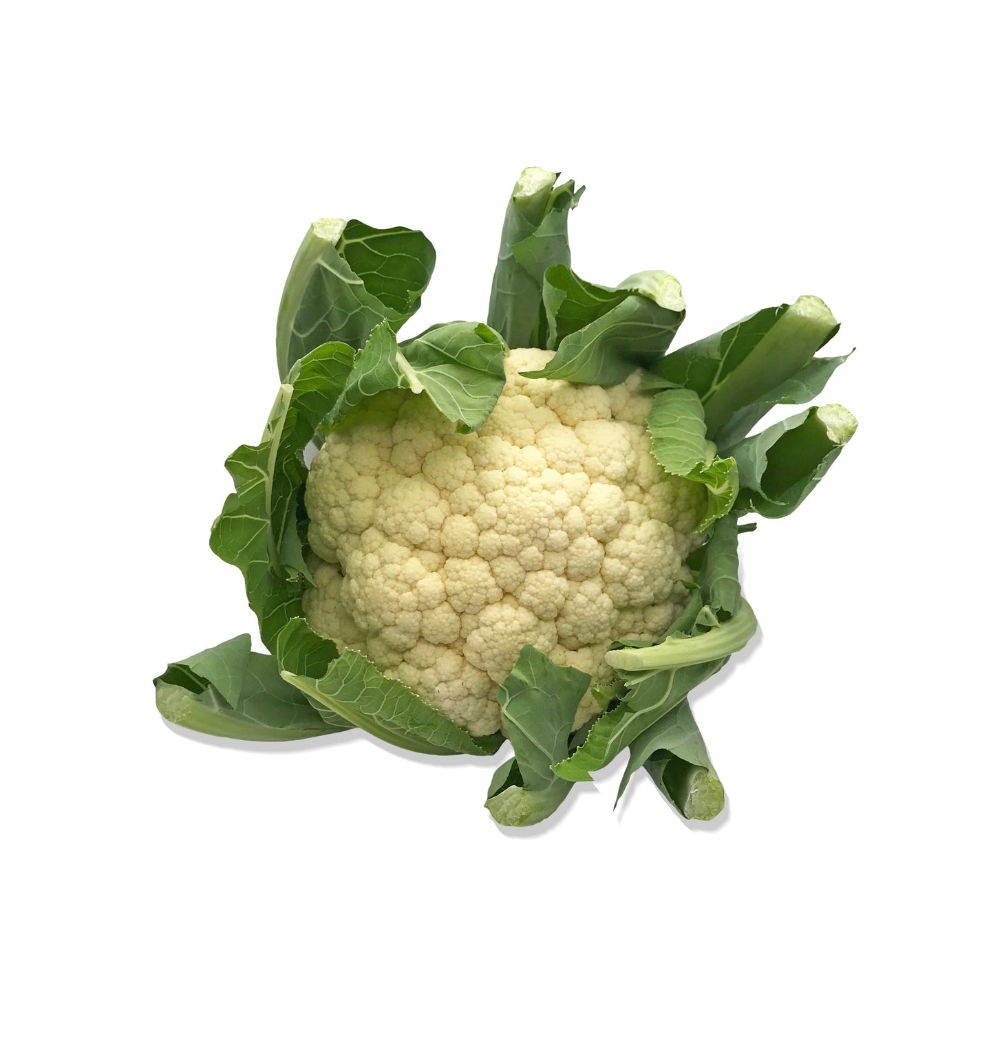 Cauliflower