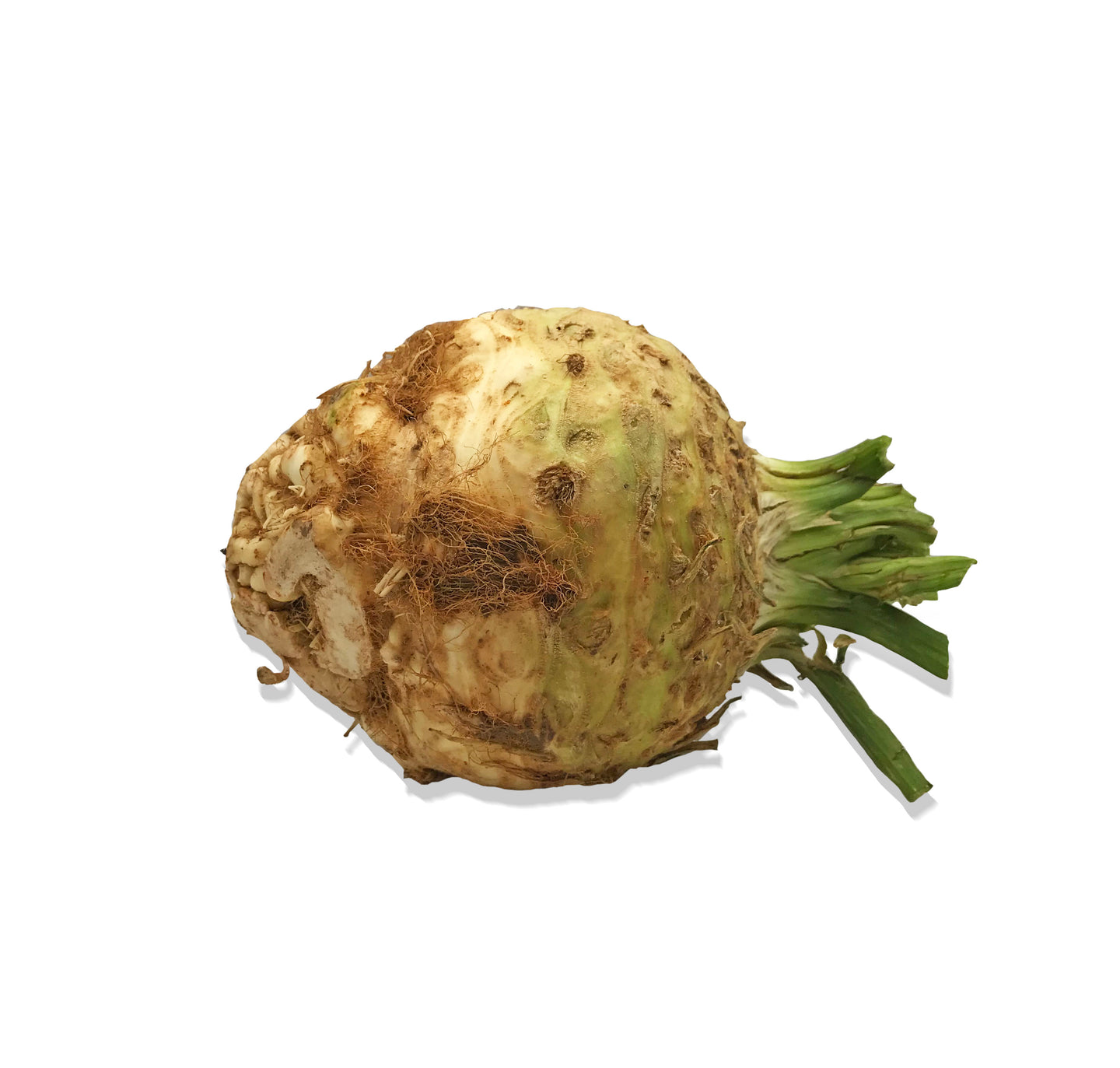 Celeriac