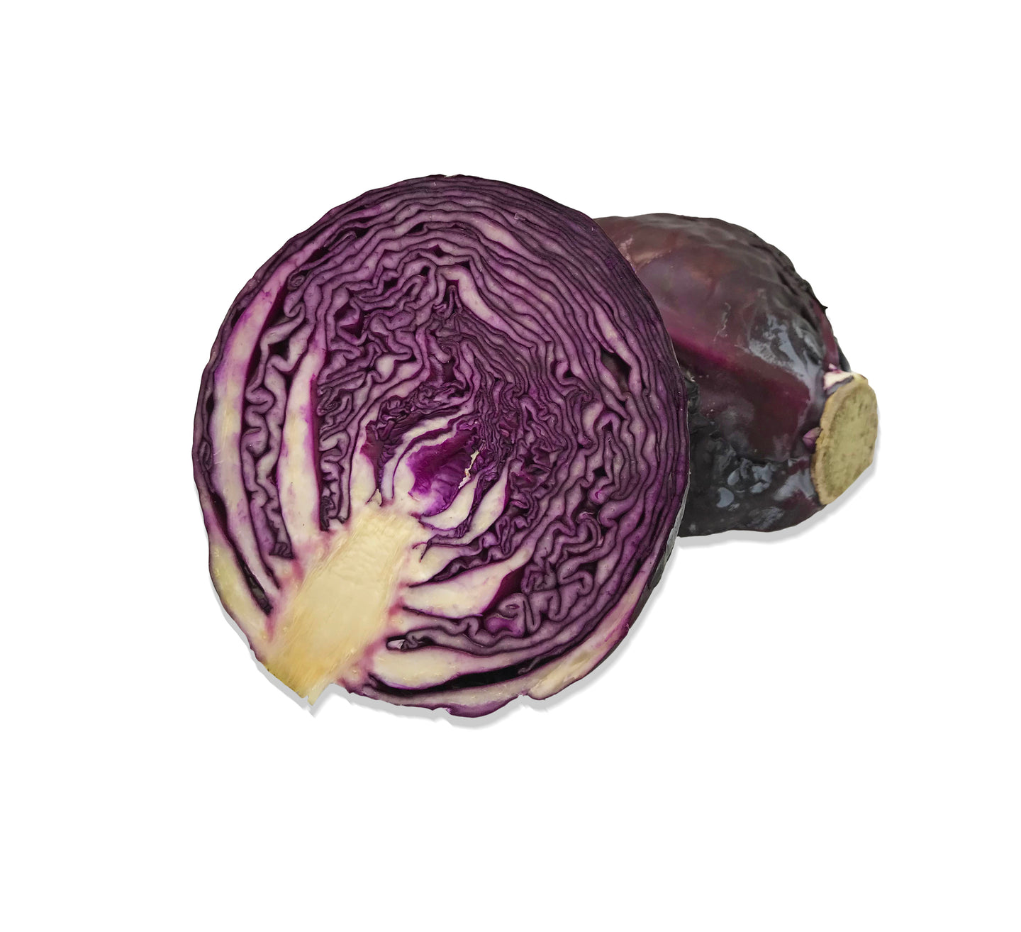 Red Cabbage