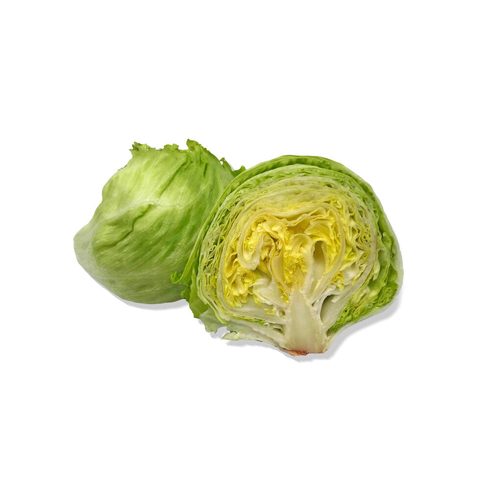 Iceberg Lettuce